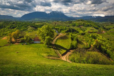 Yamaçta kırsal yol ve çiftliği olan güzel bahar manzarası arka planda Piatra Craiului dağları, Holbav, Romanya ve Avrupa