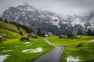 Yeşil tarlalarda kırsal ahşap kulübelerle bahar manzarası ve arka planda sisli karlı dağlar, Murren, Lauterbrunnen vadisi, Bernese Oberland, İsviçre, Avrupa