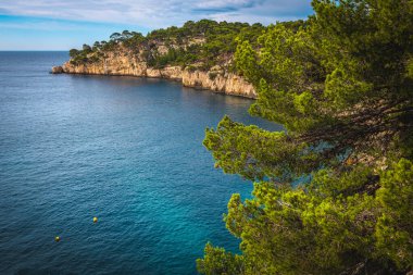 Calanque de Pin körfezi, Calanque de Pin körfezi, Calanques Ulusal Parkı, Cassis, Güney Fransa, Avrupa