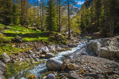 Mercantour Ulusal Parkı, Alpes Maritimes, Fransa ve Avrupa 'da sersemletici miktarda alp deresi