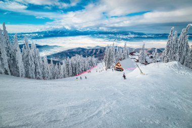 Geniş yamaçta kayakçıları olan en manzaralı kış kayak merkezlerinden biri. Arka planda yer alan görkemli çam ormanı, β ana Brasov, Karpatlar, Romanya ve Avrupa