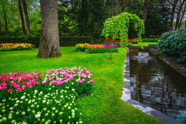 Keukenhof bahçesi küçük çeşme ve çeşitli renkli lale koleksiyonlarıyla süslenmiş. Avrupa 'nın en ünlü süs bahçelerinden biri, Lisse, Hollanda, Avrupa