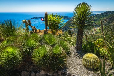 Eze, Provence Alpes Cote d Azur, Fransa, Avrupa 'nın çarpıcı botanik bahçesinden masmavi Akdeniz manzarası