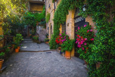 Taş evin duvarında renkli çiçekler ve yeşil bitkiler sergilendi, Civita di Bagnoregio, Viterbo ili, Lazio, İtalya, Avrupa