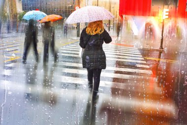 Yağmurlu günlerde şemsiyesi olan insanlar, sonbahar sezonu, Bilbao şehrinde, Bask ülkesinde, İspanya 