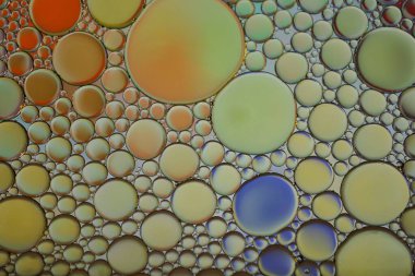 multi colored oil circles on the water, colorful abstract background 