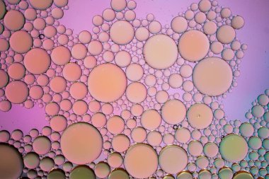 Suyun üzerinde çok renkli yağ halkaları, renkli arkaplan 