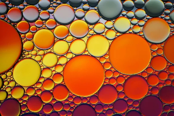 Multi Gekleurde Oliecirkels Het Water Kleurrijke Achtergrond — Stockfoto