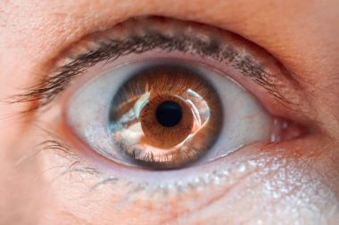 Kahverengi gözlü, yarı vücut fotoğrafçısı. 