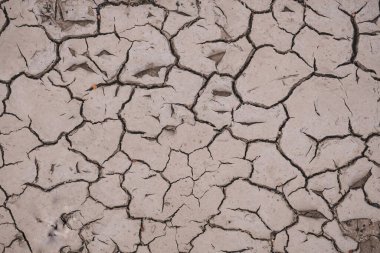 Doğadaki kuru zemin, küresel ısınma, iklim değişikliği 