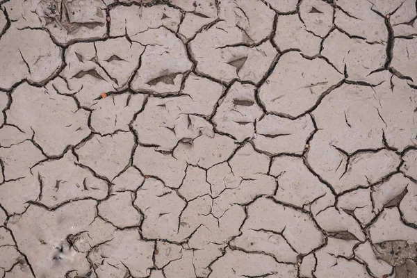 Ξηρό Έδαφος Στη Φύση Υπερθέρμανση Του Πλανήτη Κλιματική Αλλαγή — Φωτογραφία Αρχείου