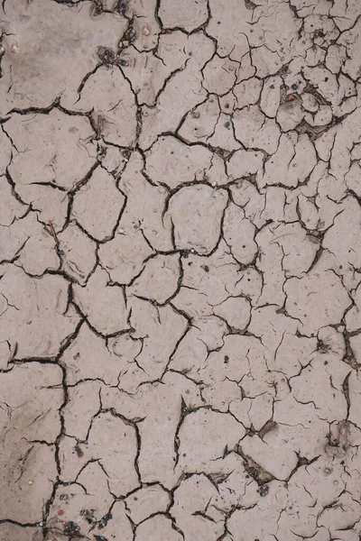 Dry Ground Nature Global Warming Climate Change — Stock Photo, Image