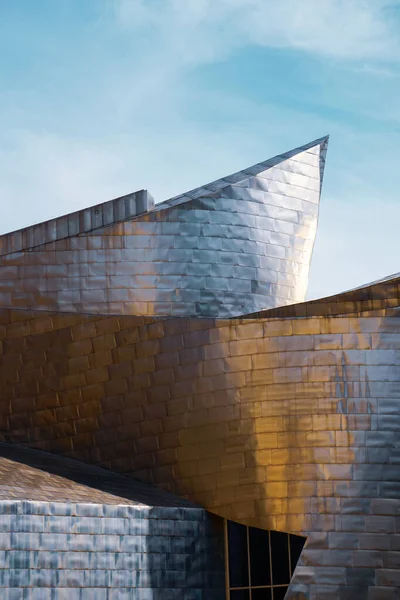Музей Архитектуры Гуггенхайма Бильбао Бильбао Страны Басков Испания Туристические Направления — стоковое фото