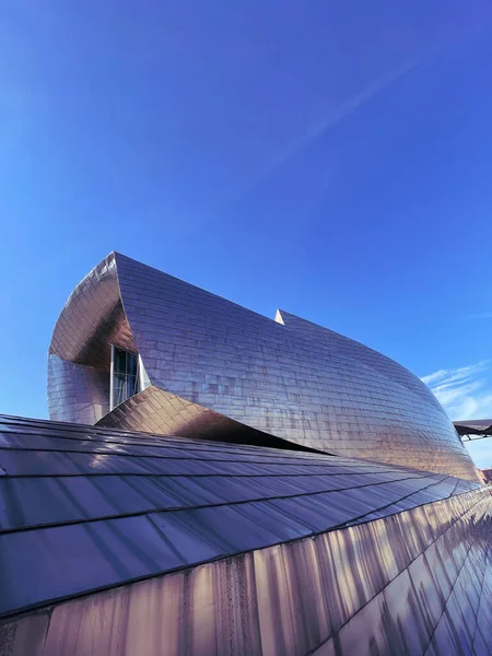 Музей Архитектуры Искусства Культуры Гуггенхайма Бильбао Стоковое Изображение