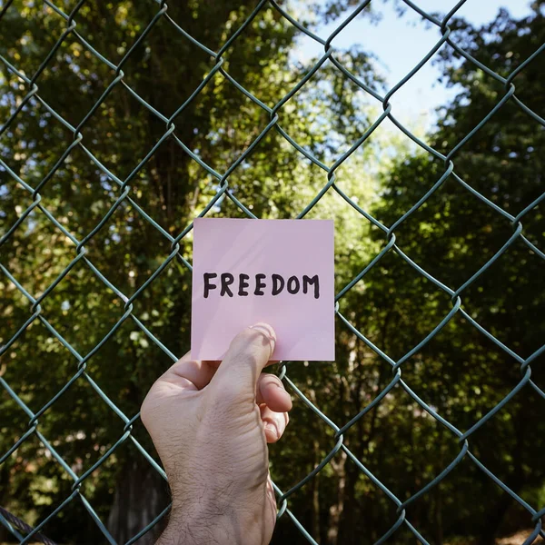 Χέρι Κρατώντας Ένα Χαρτί Λέξη Ελευθερία — Φωτογραφία Αρχείου