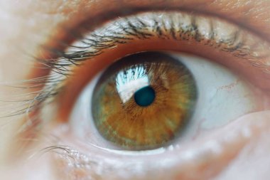 Erkek gözü kameraya bakıyor, kahverengi.  