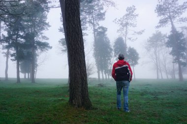 İnsan kış mevsiminde sisle dağda yürür. 