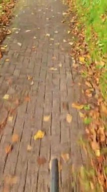 Bir sonbahar manzarasında hareket eden bir bisikletin direksiyon simidini bir sürü yaprakla birlikte görmek.