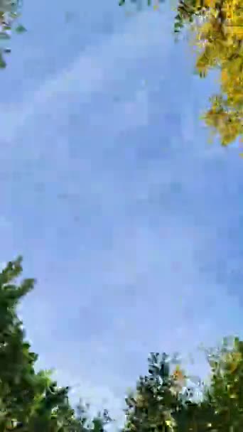 Pohled Volant Pohybujícího Kola Podzimní Krajině Spoustou Listí — Stock video