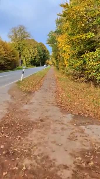 在一片树叶繁茂的秋景中 看到一辆移动的自行车的方向盘 — 图库视频影像