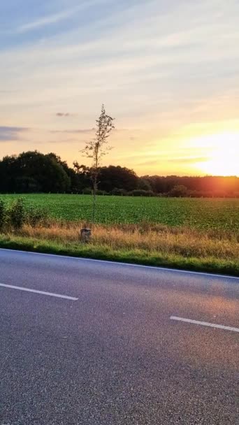 美丽而浪漫的落日在一个黄橙相间的田野里 — 图库视频影像