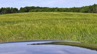Yaz boyunca büyük bir ekin tarlasının önünde kameralar dönüyor.