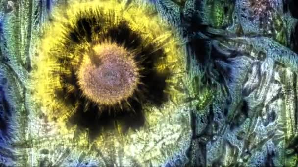 Κιριλιανή Αύρα Όμορφου Κίτρινου Ηλιοτρόπιου Ένα Αγροτικό Περιβάλλον Μια Ηλιόλουστη — Αρχείο Βίντεο