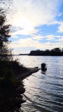 Su yüzeyinin detaylı yakın görüntüsü dalgalar, dalgalar ve güneş ışığı yüzeye yansıyor.