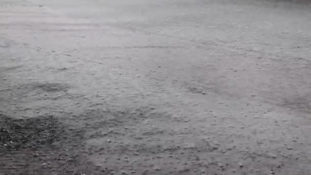 暴雨中 大量雨滴落在城市的沥青路面上 — 图库视频影像