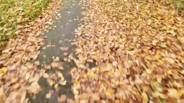 Размытый Вид Рулевого Колеса Быстро Движущегося Велосипеда Дорожке Осенними Листьями — стоковое видео
