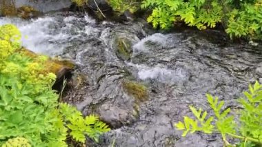 Biraz yeşillikle tipik bir İzlanda manzarasında küçük bir dere..