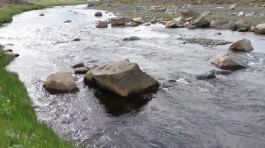 İzlanda 'da akan nehirlerle, kayalarla ve otlarla dolu harika bir manzara..