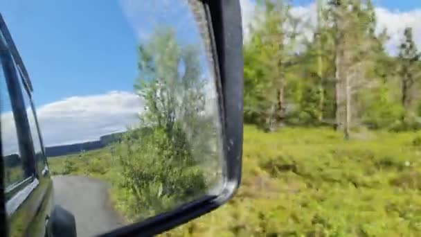 アイスランドの風景の中を走行中に車のサイドミラーに動きがぼやけて見える — ストック動画