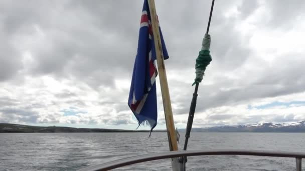 Islandská Vlajka Vlajkovém Stožáru Pohybující Větru Pěkného Počasí — Stock video