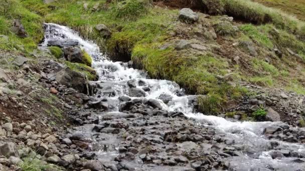 Petit Ruisseau Dans Paysage Typiquement Islandais Avec Verdure — Video