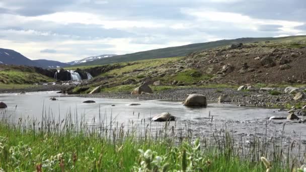 流れる川とアイスランドの岩や草でストリームと幻想的な風景 — ストック動画