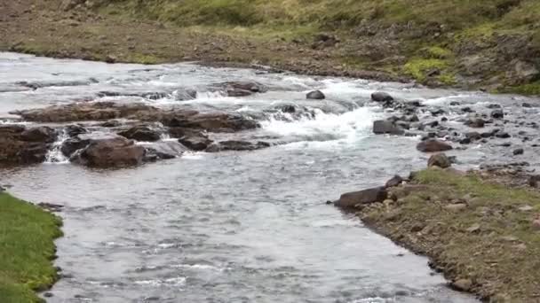 Fantastic Maisema Virtaa Jokien Purojen Kiviä Ruohoa Islannissa — kuvapankkivideo