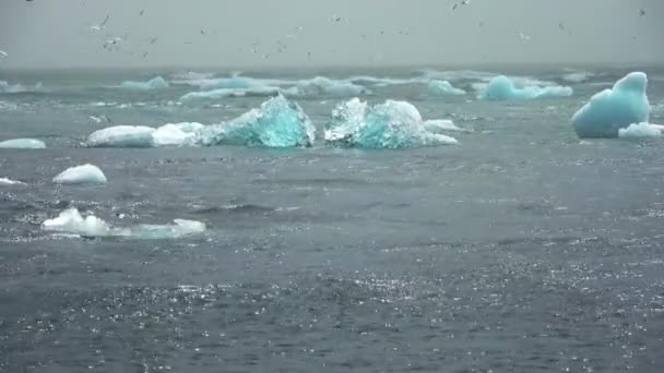 Diamond Beach Island Blaue Eisberge Schmelzen Auf Schwarzem Sand Und — Stockvideo