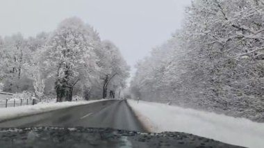 Karlı bir yolda kar kaplı ağaçlarla giden bir arabanın ön camından bak..