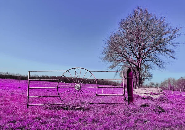 Colorful fantasy landscape in an asian purple infrared photo style