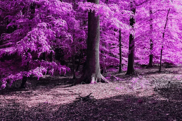 青空が広がる田園風景の美しいピンクと紫の赤外線パノラマ — ストック写真