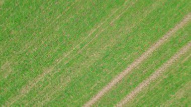 Aerial video of a drone flying over agricultural land in northern Germany