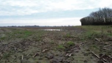 Aerial video of a drone flying over agricultural land in northern Germany