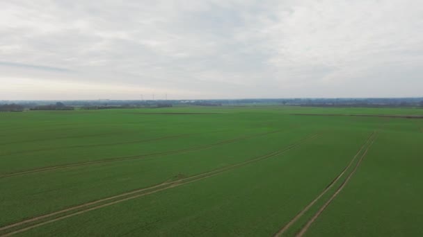 Aerial Video Drone Flying Agricultural Land Northern Germany — Stock video