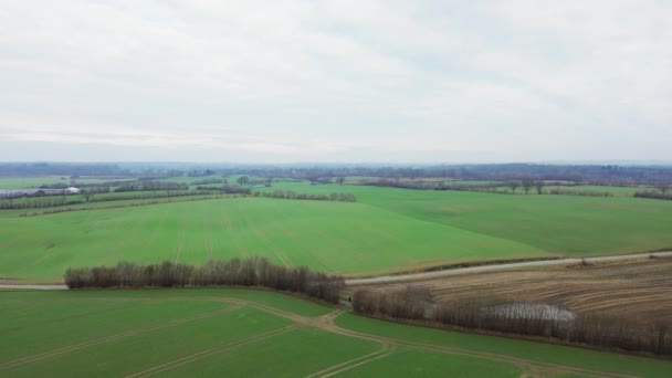 Aerial Video Drone Flying Agricultural Land Northern Germany — Video