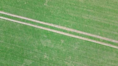 Aerial video of a drone flying over agricultural land in northern Germany.