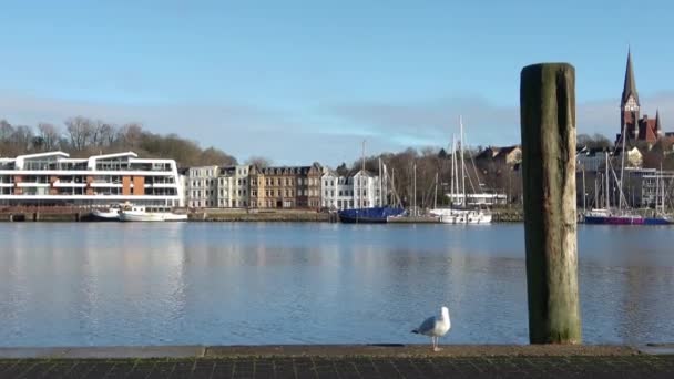 Flensburg Germany February 2023 View Historic Harbour Flensburg Fine Weather — Stockvideo
