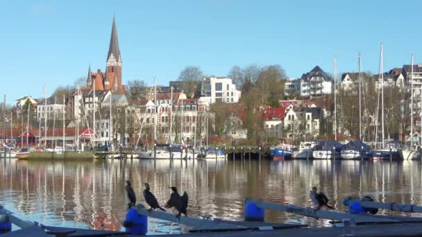 Flensburg Γερμανία Φεβρουαρίου 2023 Άποψη Του Ιστορικού Λιμανιού Του Flensburg — Αρχείο Βίντεο