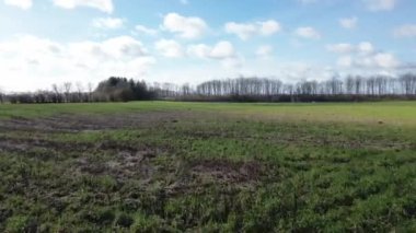A drone flying very low and fast over agricultural land in northern Germany.