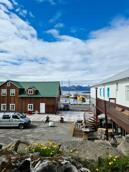 아이슬란드의 후사비크 2023 고래잡이를 구경하기 아이슬란드의 후사비크 읍에서 — 스톡 사진
